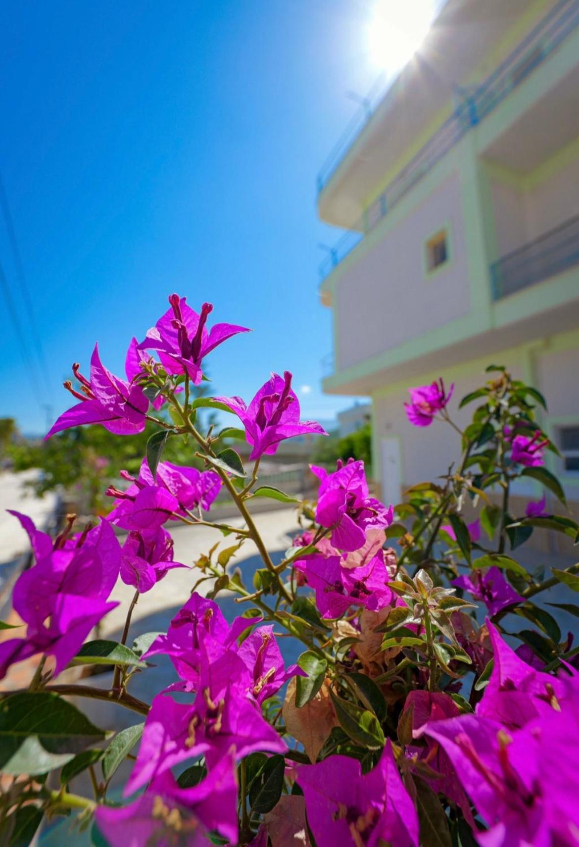 Sunflower Hotel Ksamil Ngoại thất bức ảnh