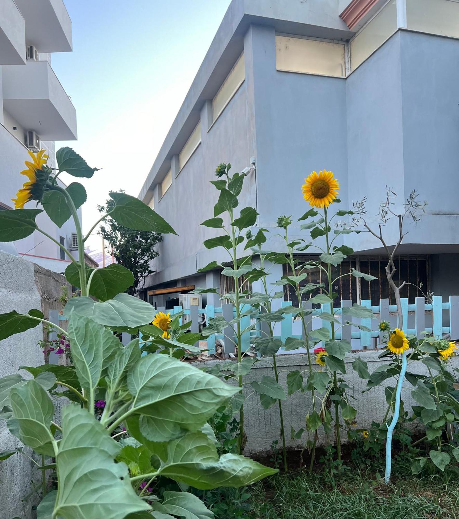 Sunflower Hotel Ksamil Ngoại thất bức ảnh